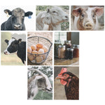 Note Card Set- Animal Card Set