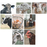 Note Card Set- Animal Card Set