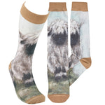 PBK- Knee High Socks