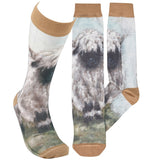 PBK- Knee High Socks
