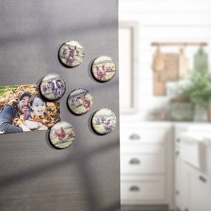 Magnet Set