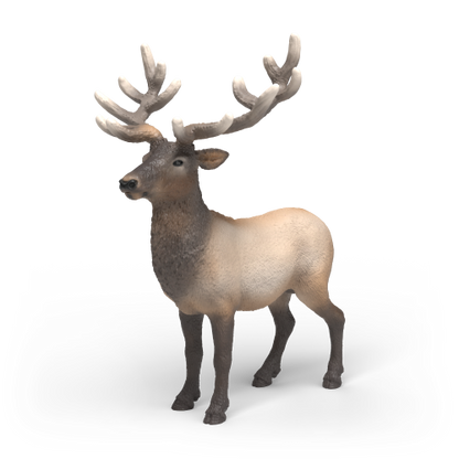 Schleich - Wild Animals