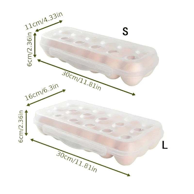 Egg Carton - Plastic