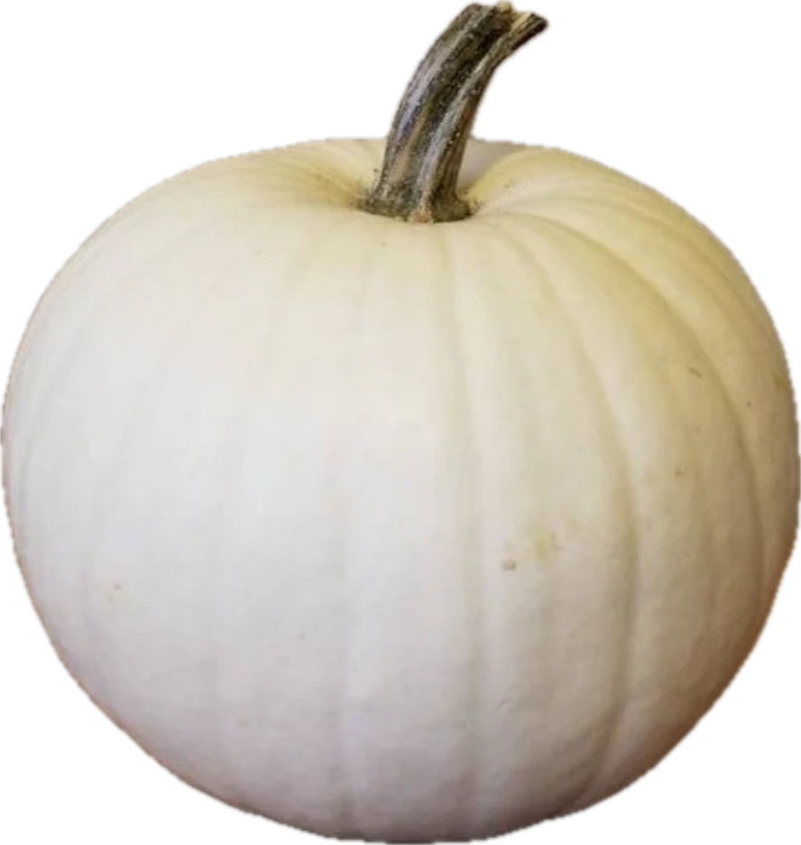 Fresh - Locally Grown - Pumpkin, Squash, Gourds