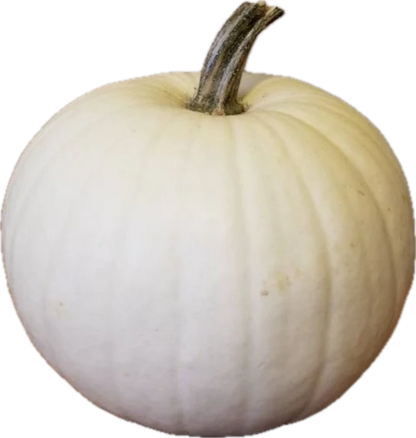Fresh - Locally Grown - Pumpkin, Squash, Gourds