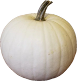 Fresh - Locally Grown - Pumpkin, Squash, Gourds