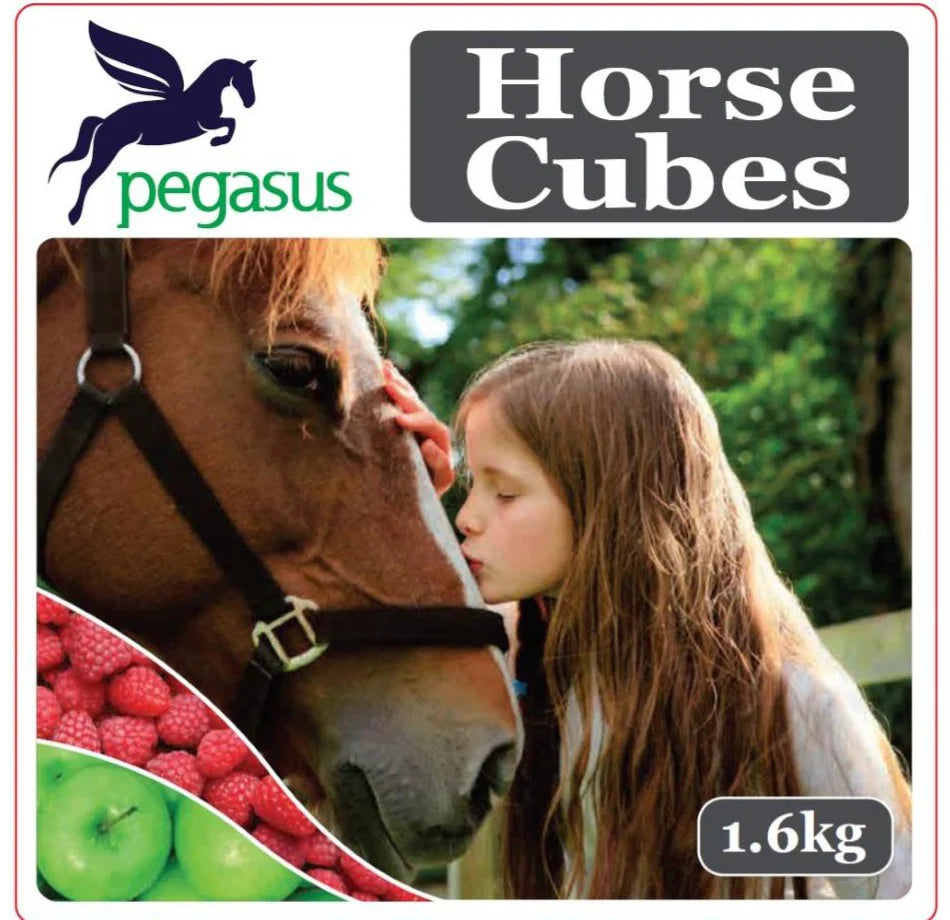 Pegasus - Horse Treat Cube - 1.6kg
