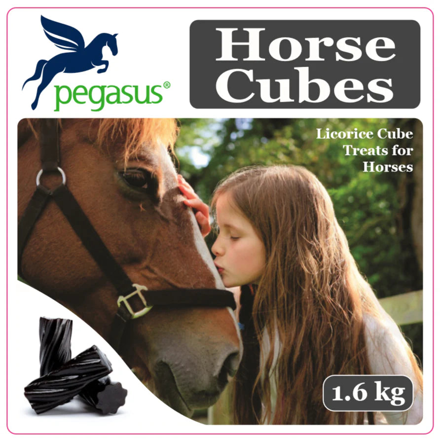 Pegasus - Horse Treat Cube - 1.6kg