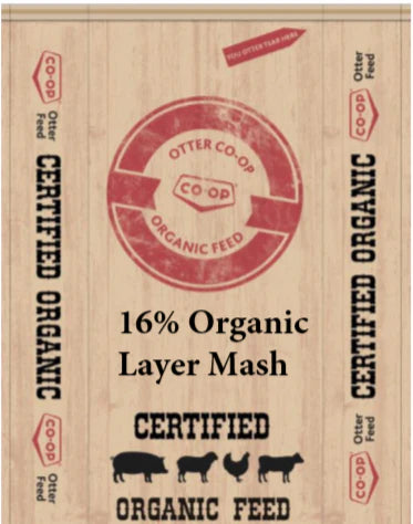 Organic - 16% Poultry Layer - Mash - 20kg