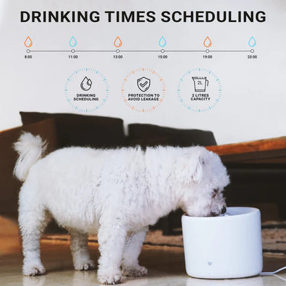 Instachew - Purrflow Smart Pet Fountain