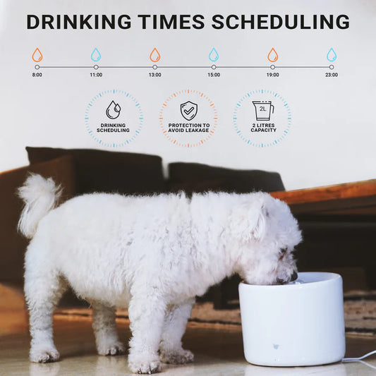 Instachew - Purrflow Smart Pet Fountain