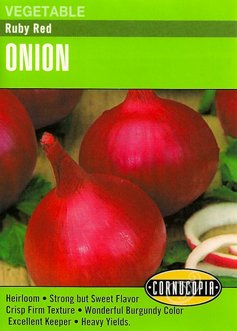 Cornucopia - Onions