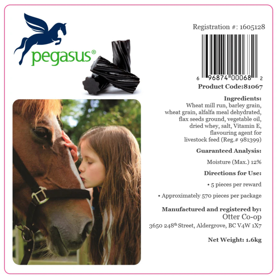 Pegasus - Horse Treat Cube - 1.6kg