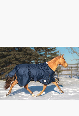 Alliance Equine - Econoline Winter Blanket - 1200D / 200G - Rip-Stop - Removable Neck Cover