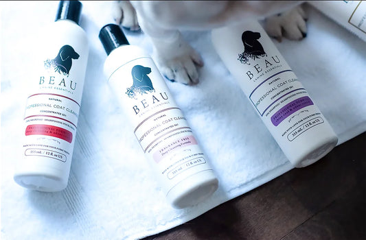 Beau Canine Essentials - Concentrated 32:1 - Shampoo - Professional Line