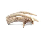 FureverPure - Antler Dog Chew