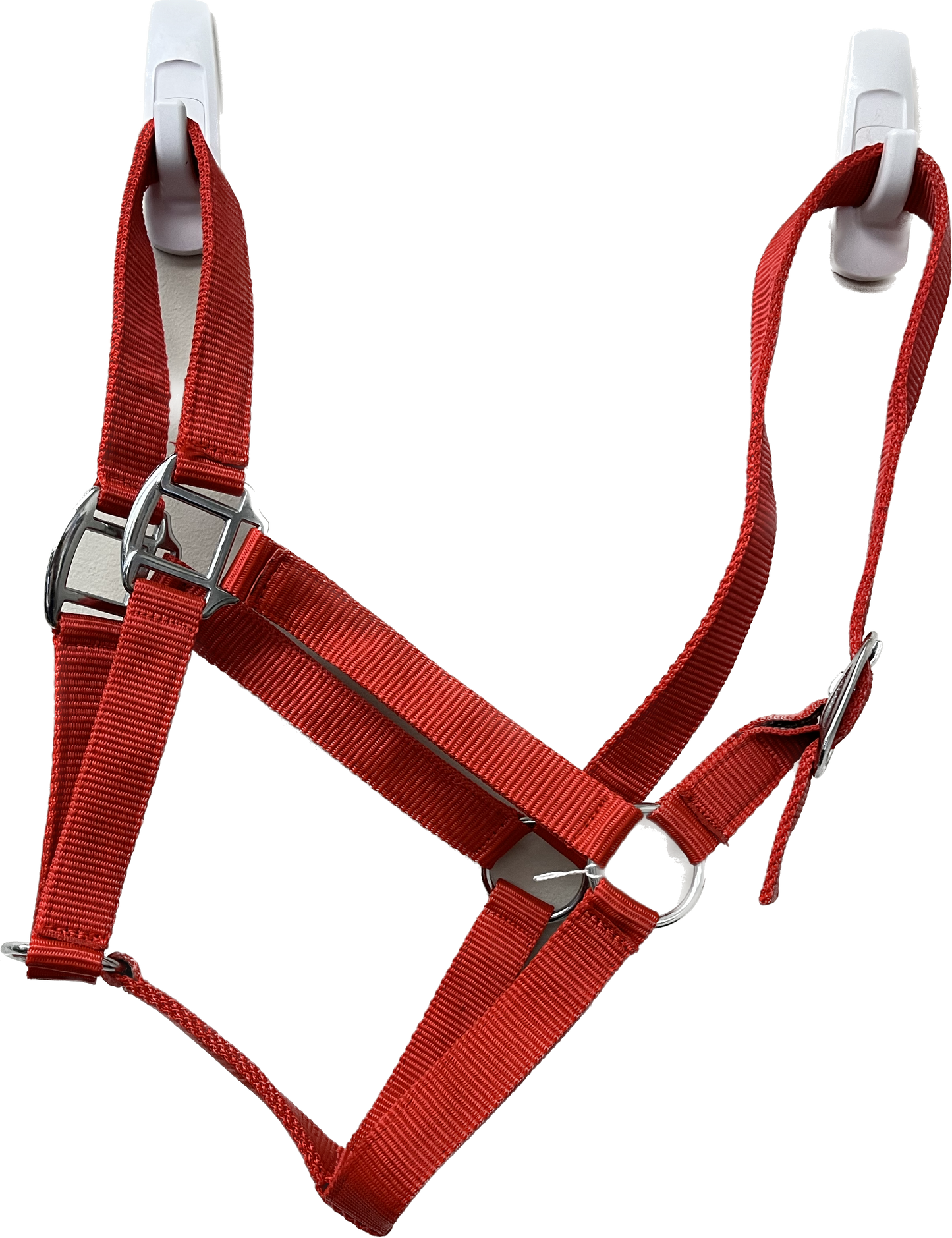 True North - Economy Nylon Horse Halter - Full