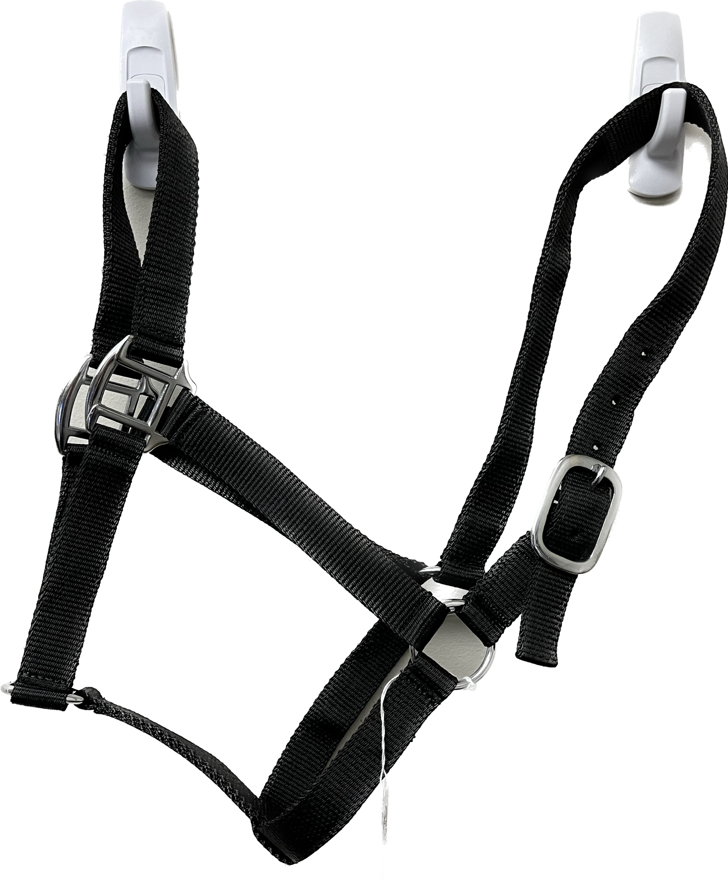 True North - Economy Nylon Horse Halter - Full