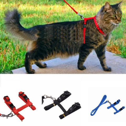 Travel Cat - Cat Harness and Bungee Leash - One Size - Adjustable