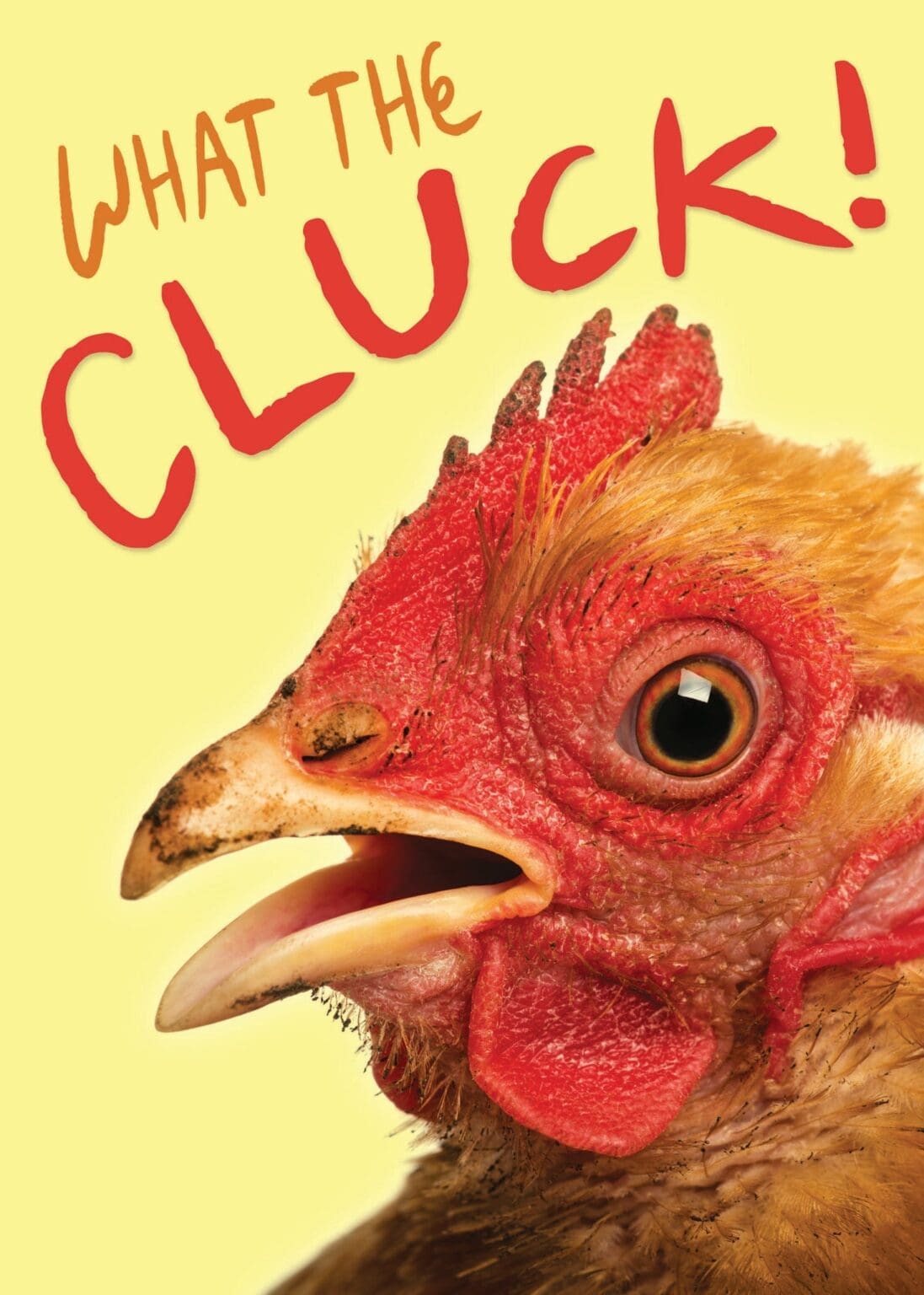 Ink on Paper - Birthday Cards