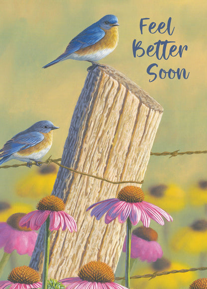 Ink on Paper - Assorted Cards