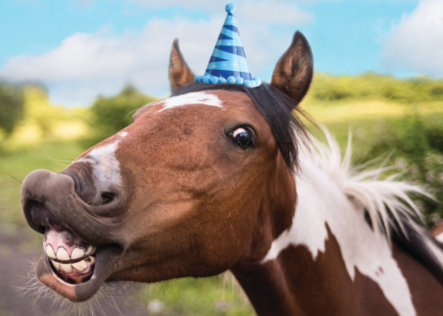 Ink on Paper - Birthday Cards