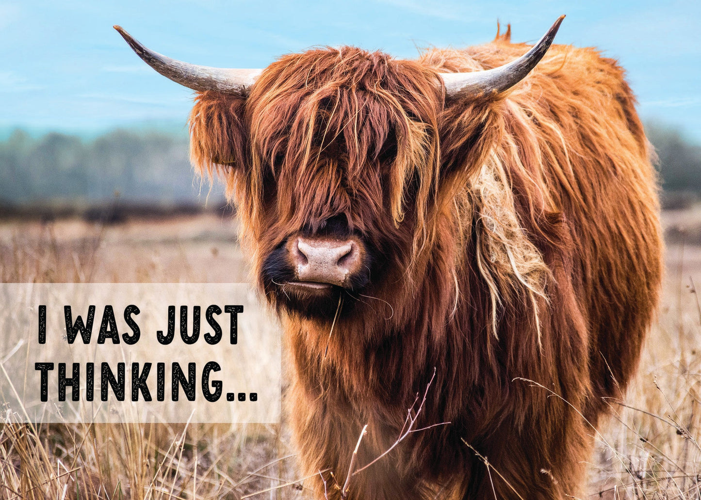 Ink on Paper - Assorted Cards