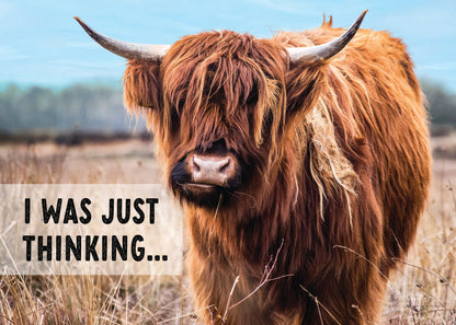 Ink on Paper - Assorted Cards