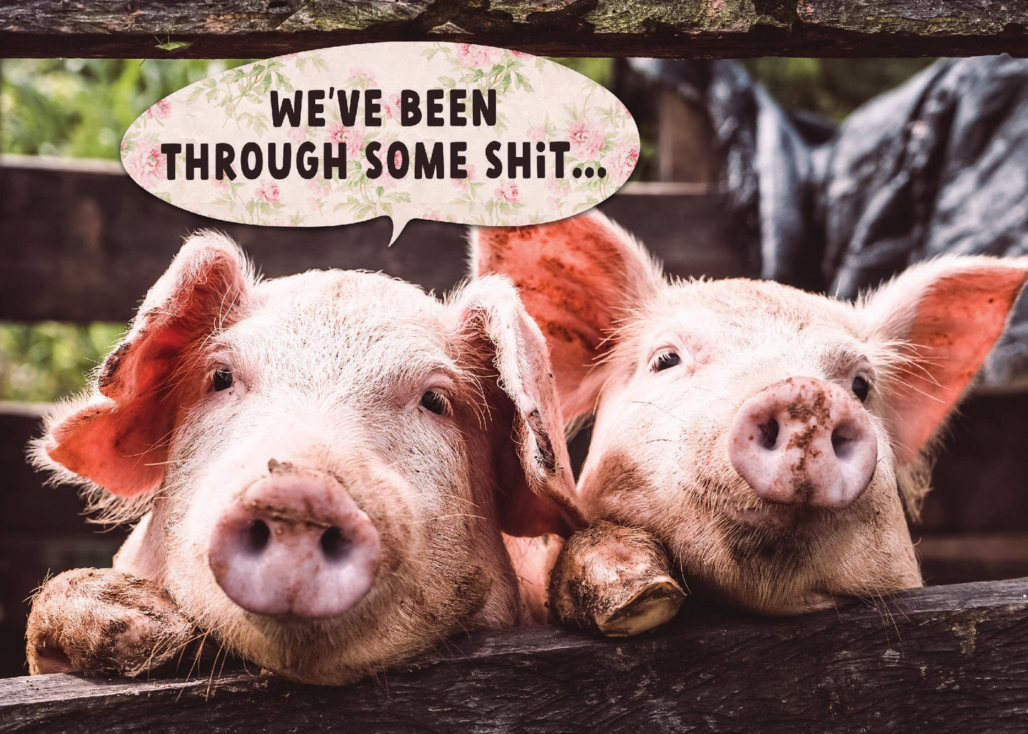 Ink on Paper - Assorted Cards