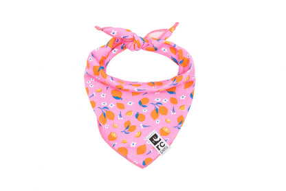 RC Pets - Zephyr Cooling Bandana