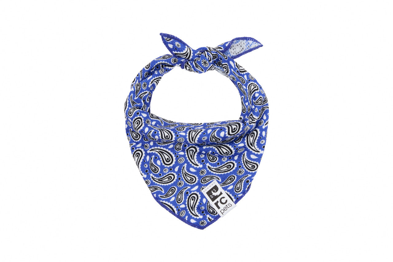 RC Pets - Zephyr Cooling Bandana