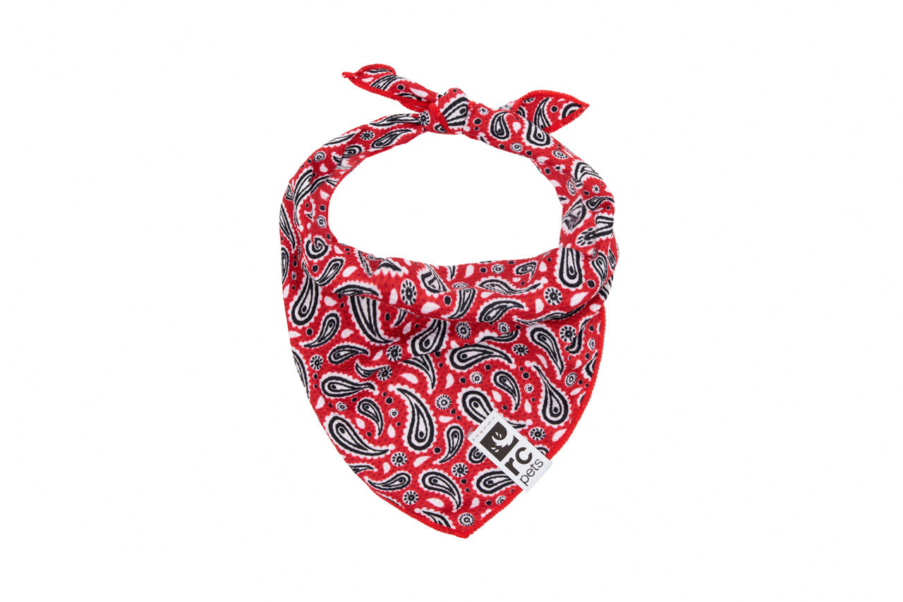 RC Pets - Zephyr Cooling Bandana