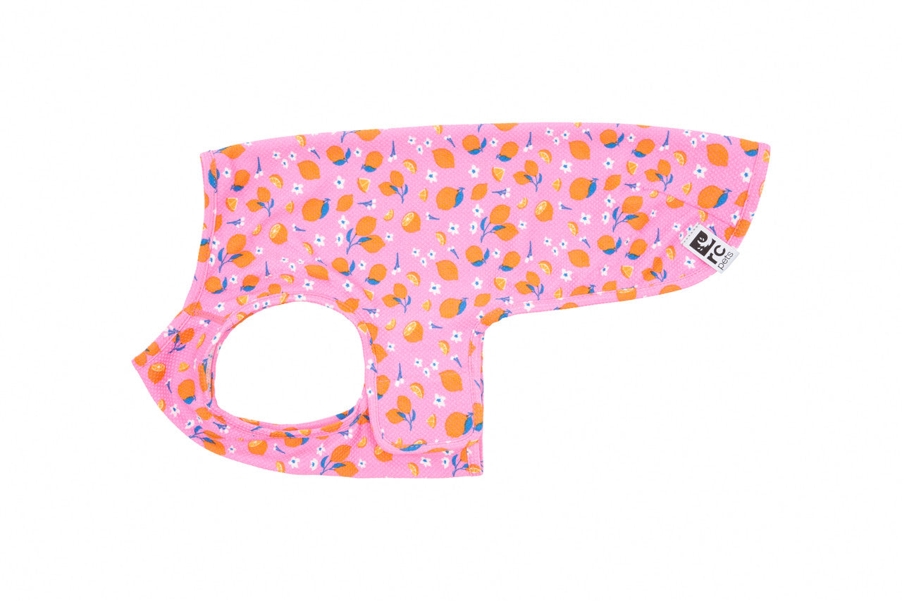 RC Pets - Zephyr - Pet Cooling Vest