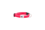 RC Pets - Petite Clip Collar - Primary Colors