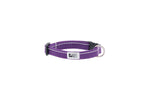 RC Pets - Petite Clip Collar - Primary Colors