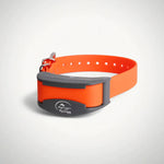 Sport Dog - Add A Dog Training Collar