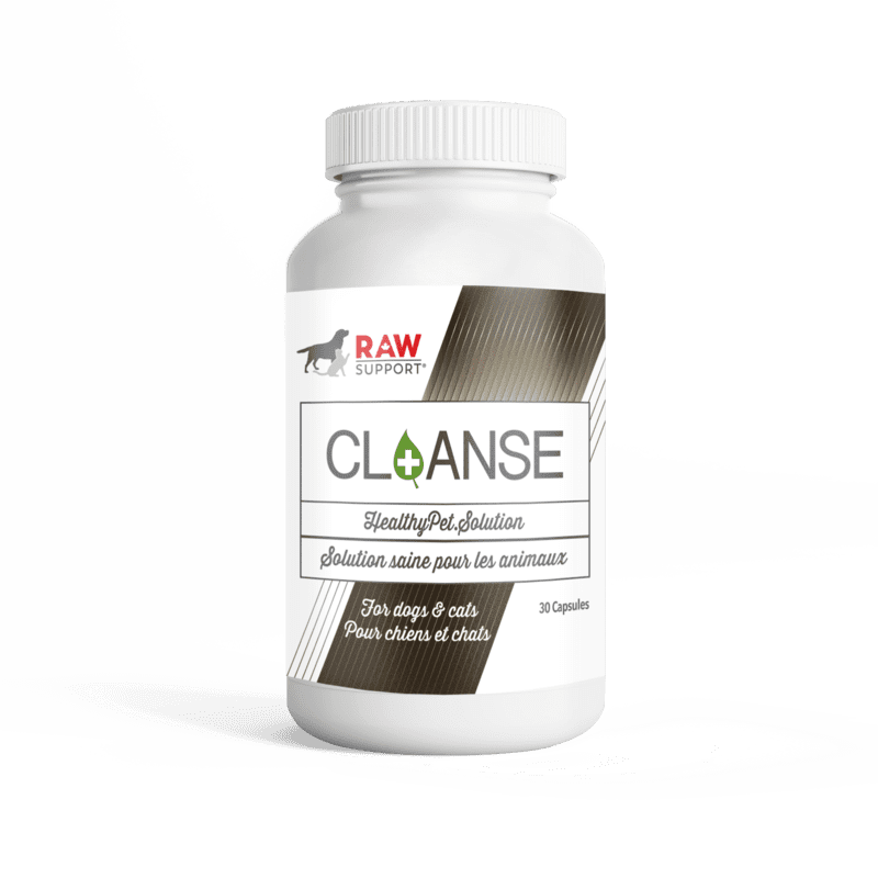 Raw Support - Healthy Pet Supplements
