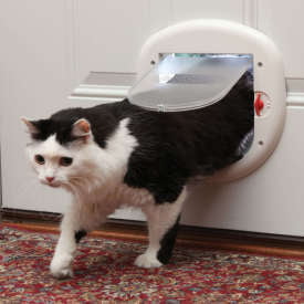 PetSafe- Big Cat Flap