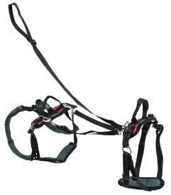 Petsafe - Solvit CareLift Harness