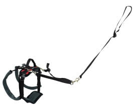 Petsafe - Solvit CareLift Harness