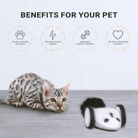 PureChase - Smart Mouse