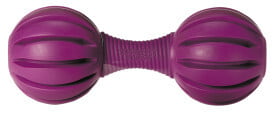 Pet Safe - Waggle - Treat Dispensing