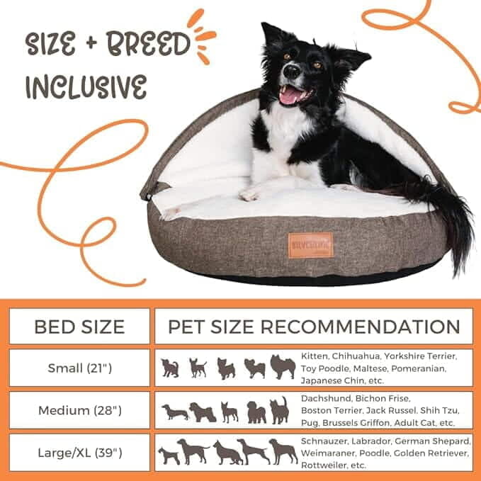 Peek-A-Boo Comfy Bed - Assorted Sizes