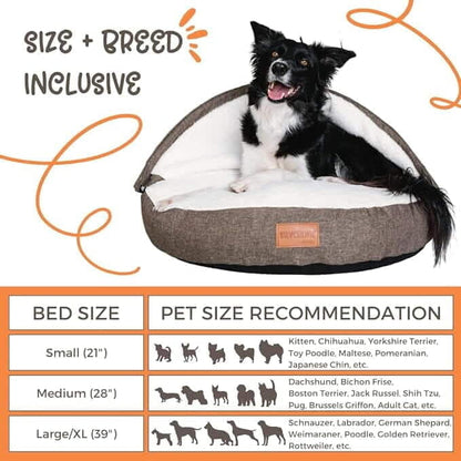 Peek-A-Boo Comfy Bed - Assorted Sizes