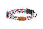 RC Pets - Eco Clip Collar
