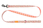 RC Pets - Eco Leash