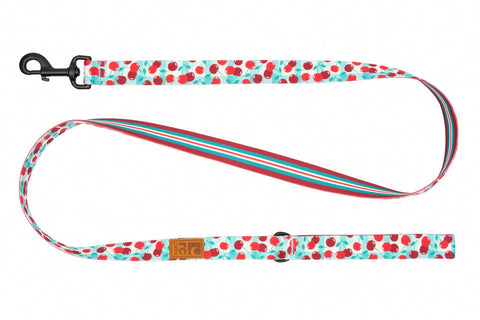 RC Pets - Eco Leash
