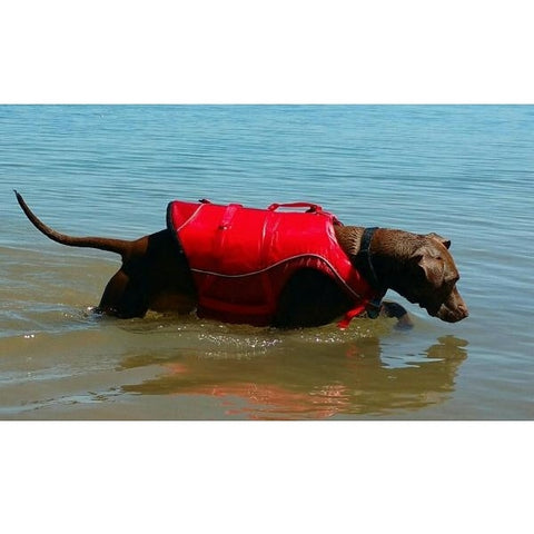 Kurgo Pet Life Jacket - Surf N Turf - Lifetime Warranty