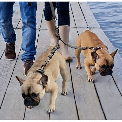 Kurgo - Double Dog Leash Extender