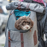 Kurgo - Rucksack Backpack - Grey/Brown